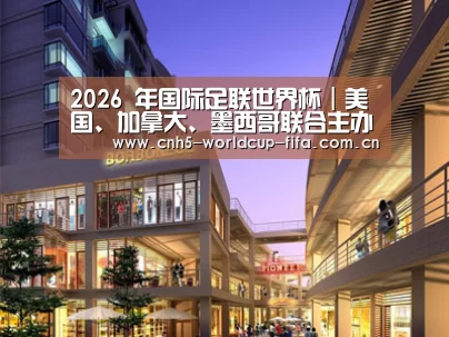 案例展示一(图1) 案例展示一(图1)