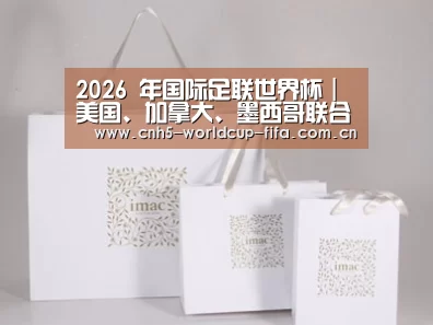 项目名称十一