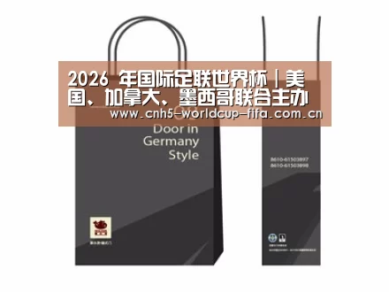 项目名称十四