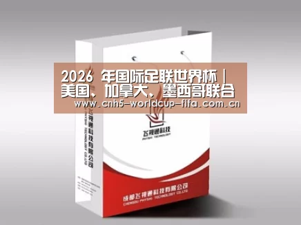 项目名称十三