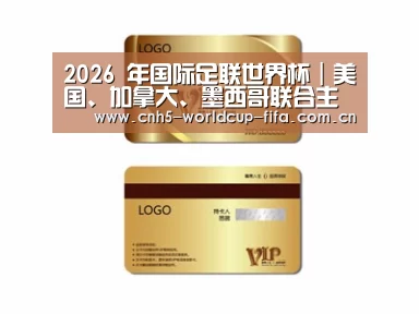 项目名称三
