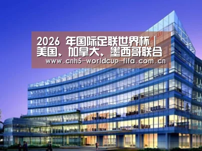 案例展示五