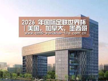 案例展示四