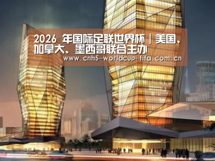 案例展示三
