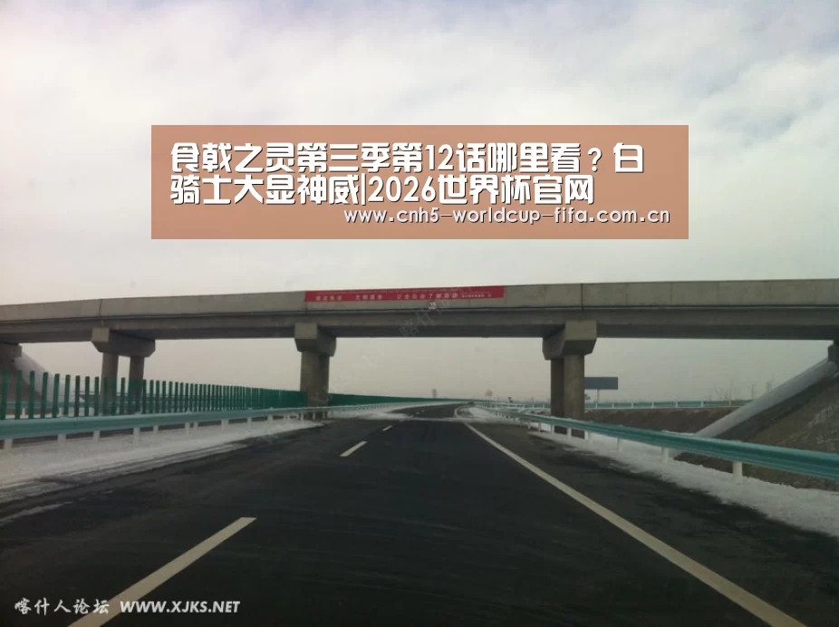 2026世界杯
