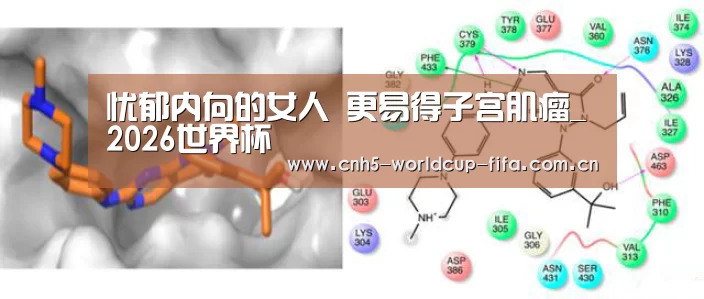 忧郁内向的女人 更易得子宫肌瘤_2026世界杯(图2) 2026世界杯官网
