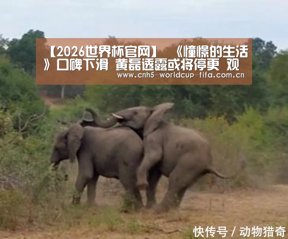 【2026世界杯官网】
《憧憬的生活》口碑下滑 黄磊透露或将停更 观众却都不意外(图2) 2026世界杯官网