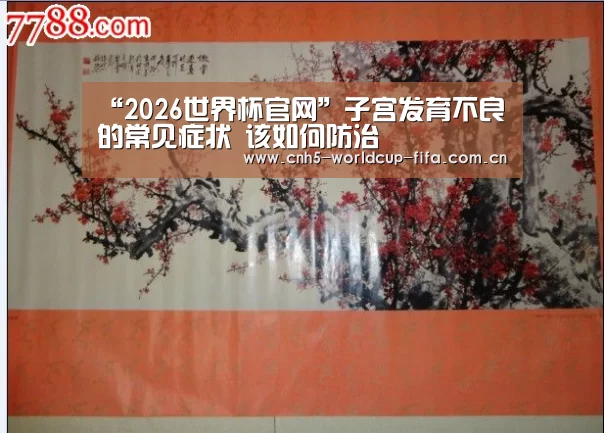“2026世界杯官网”子宫发育不良的常见症状 该如何防治(图1) 2026世界杯官网