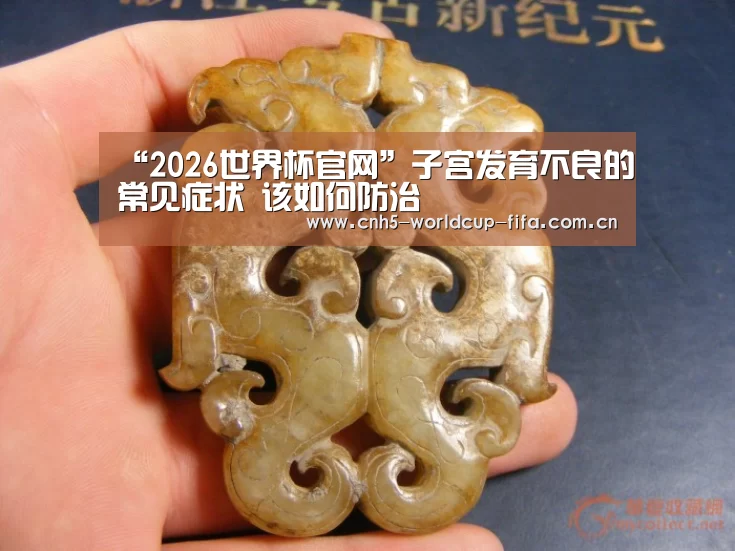 “2026世界杯官网”子宫发育不良的常见症状 该如何防治(图4) 世界杯买球