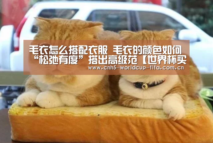 世界杯买球