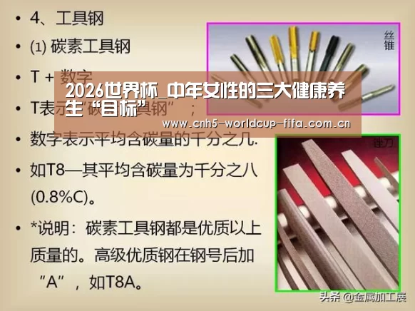 2026世界杯官网